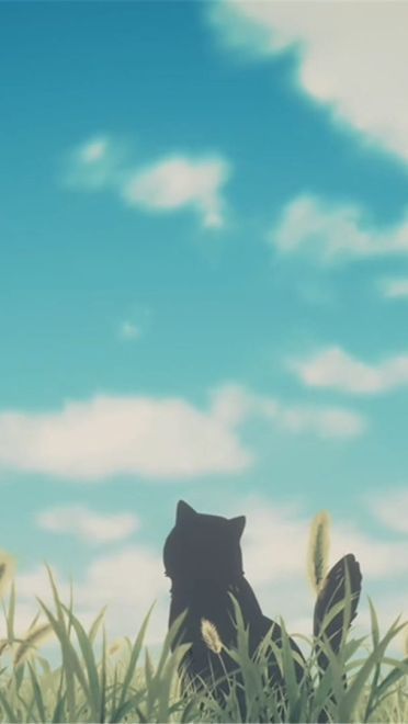 新海诚 她和她的猫 猫咪动漫电脑壁纸下载