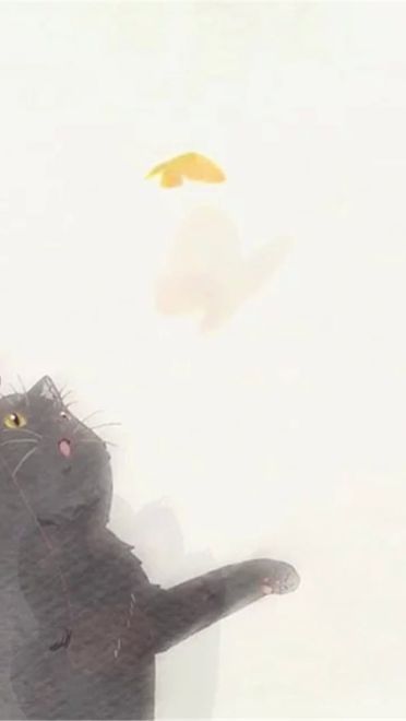 新海诚 她和她的猫 猫咪动漫电脑壁纸下载