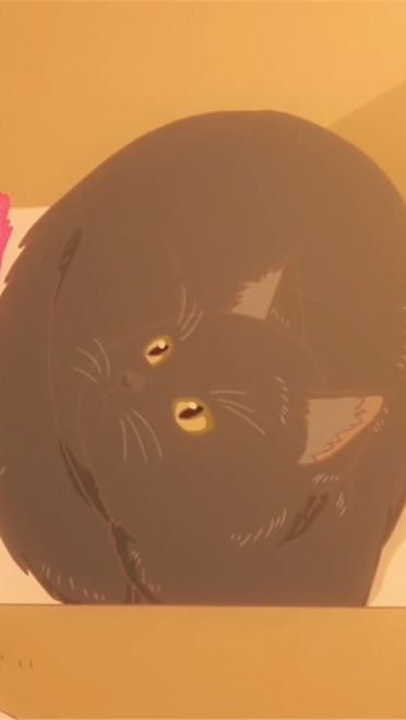 新海诚 她和她的猫 猫咪动漫电脑壁纸下载