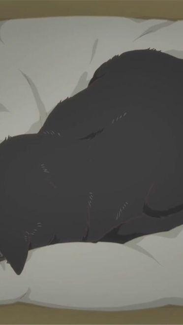 新海诚 她和她的猫 猫咪动漫电脑壁纸下载