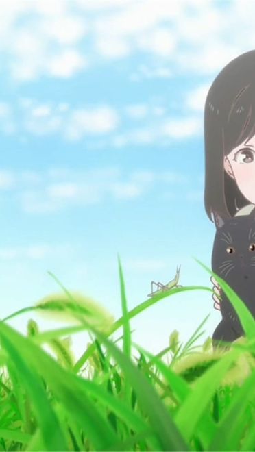 新海诚 她和她的猫人物动漫电脑壁纸下载