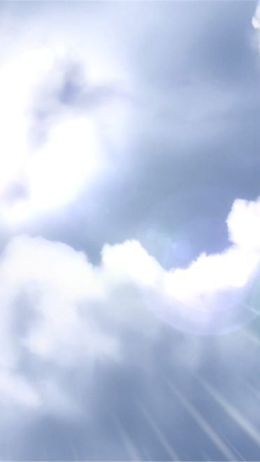 新海诚 她和她的猫唯美风景 动漫电脑壁纸下载