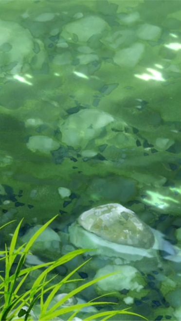 新海诚 她和她的猫唯美风景 动漫电脑壁纸下载