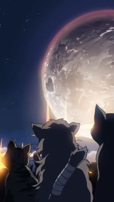 新海诚作品 猫的集会 动漫电脑壁纸下载