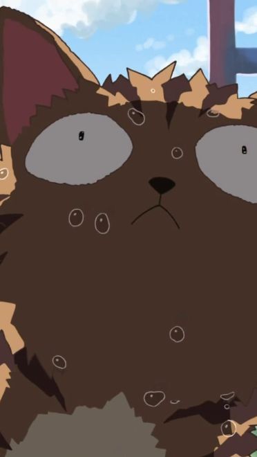 新海诚作品 猫的集会 动漫电脑壁纸下载