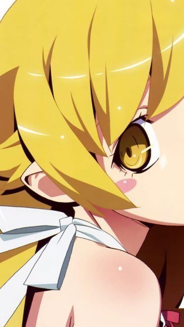 日本动漫《伪物语》动漫高清电脑桌面壁纸(1)