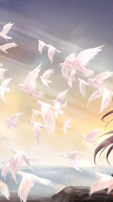 不平凡的少女们 魔法小女小圆桌面壁纸(1)