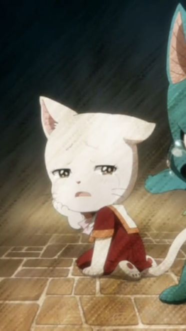 妖精的尾巴 高清动漫电脑壁纸下载第一辑(1)