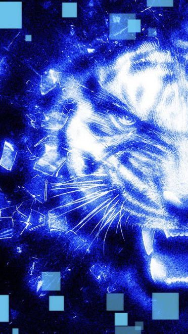 妖精的尾巴 高清动漫电脑壁纸下载第一辑(1)