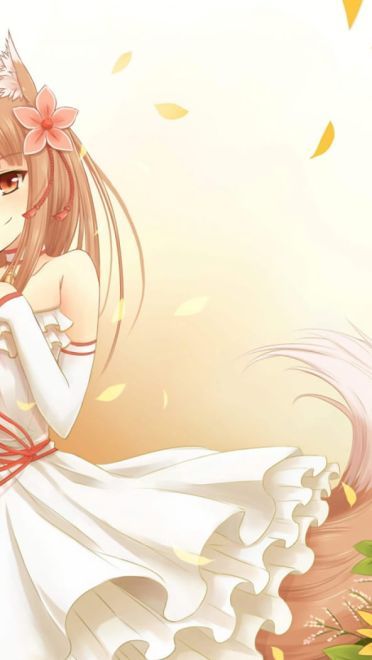 狼与香辛料 狼少女赫萝狼与香辛料(1)