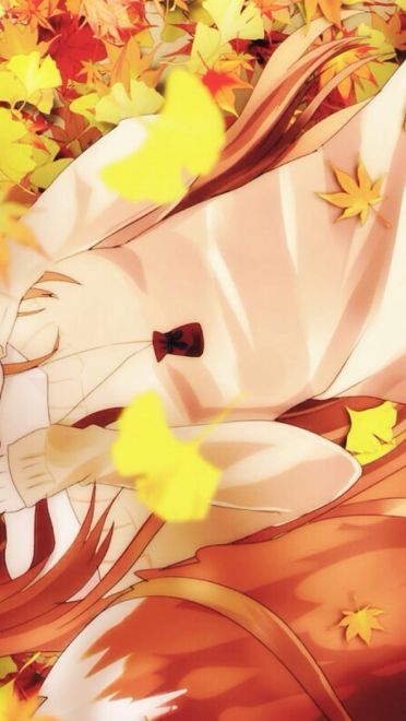 狼与香辛料 狼少女赫萝狼与香辛料(1)