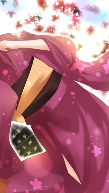 狼与香辛料 狼少女赫萝狼与香辛料(1)