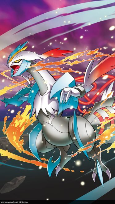 神奇宝贝动漫高清壁纸下载(1)