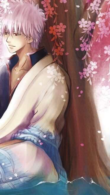 银魂 坂田银时 动漫电脑壁纸第一辑下载(1)