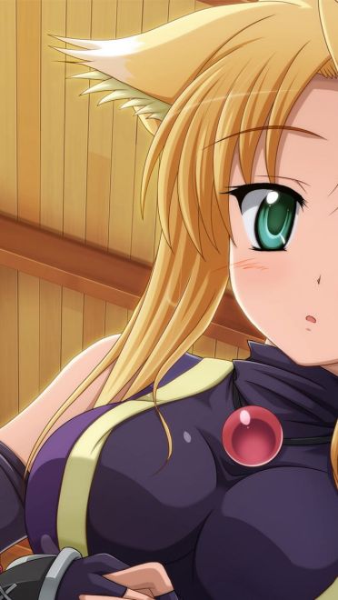 dog days 动漫美少女高清电脑壁纸下载第一辑(1)