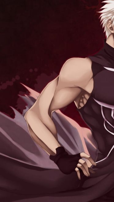 Archer红A Fate电脑壁纸下载(1)