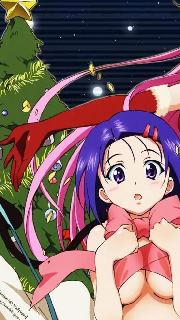 tolove 出包王女精选壁纸下载(1)