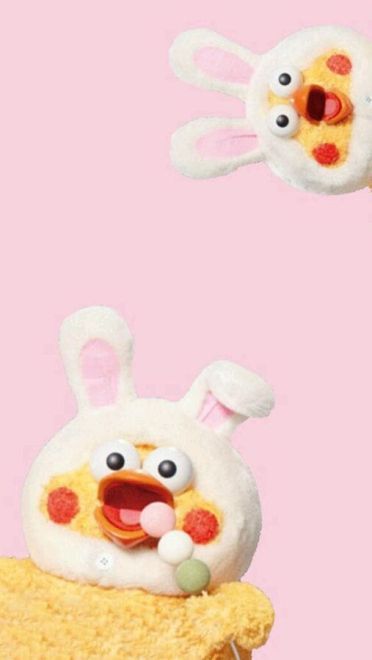 新晋网红 鹦鹉兄弟手机壁纸收集(1)