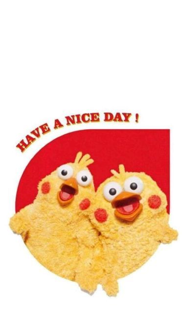 新晋网红 鹦鹉兄弟手机壁纸收集(1)