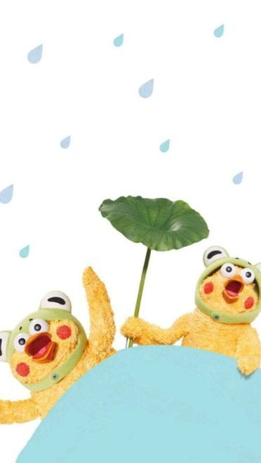 新晋网红 鹦鹉兄弟手机壁纸收集(1)