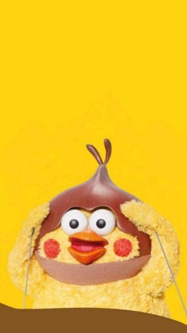 新晋网红 鹦鹉兄弟手机壁纸收集(1)