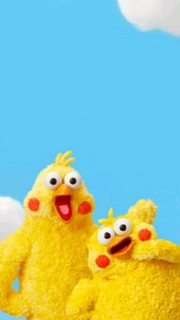 新晋网红 鹦鹉兄弟手机壁纸收集(1)