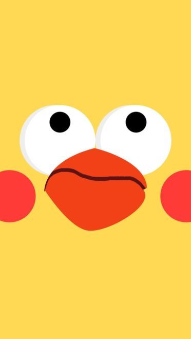 新晋网红 鹦鹉兄弟手机壁纸收集(1)