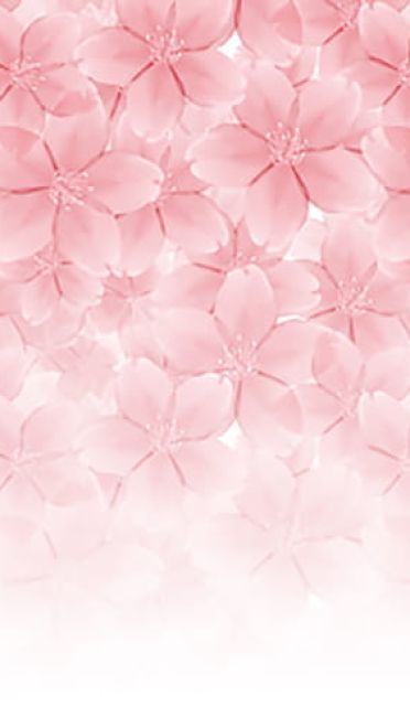 P站画师精心之作 樱花系列素材手机壁纸(1)