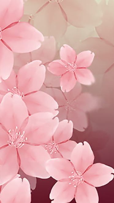P站画师精心之作 樱花系列素材手机壁纸(1)