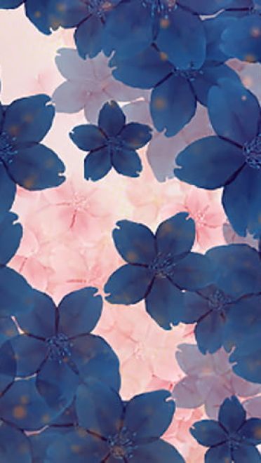 P站画师精心之作 樱花系列素材手机壁纸(1)