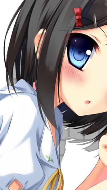 变态王子与不笑猫筒隐月子 电脑壁纸(1)