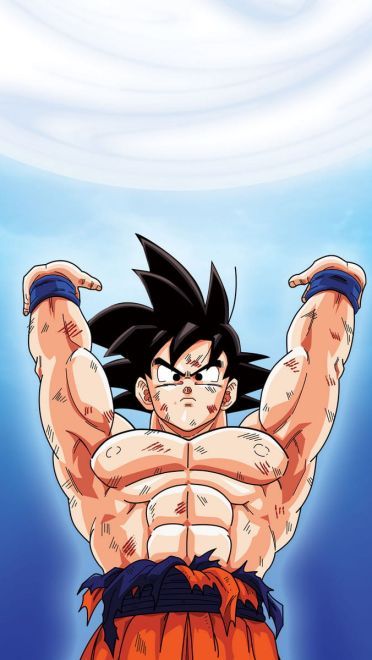 日本热血动漫龙珠Z高清电脑桌面壁纸下载(一)(1)