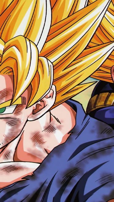 日本热血动漫龙珠Z高清电脑桌面壁纸下载(四)(1)