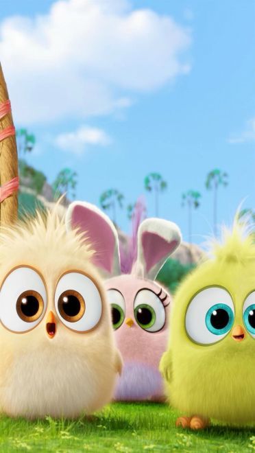 智斗大猪头 愤怒的小鸟手机壁纸