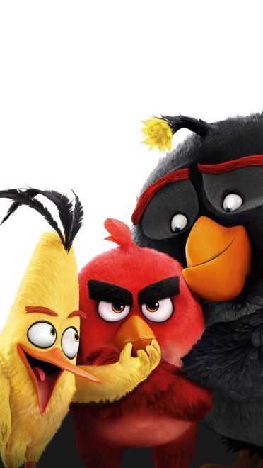 智斗大猪头 愤怒的小鸟手机壁纸