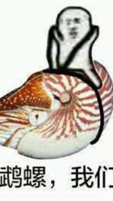 皮皮虾我们走表情包下载