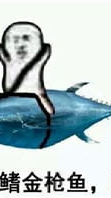 皮皮虾我们走表情包下载