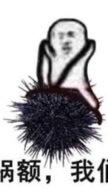 皮皮虾我们走表情包下载