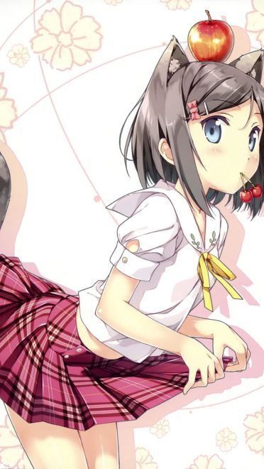 变态王子与不笑猫 筒隐月子手机壁纸