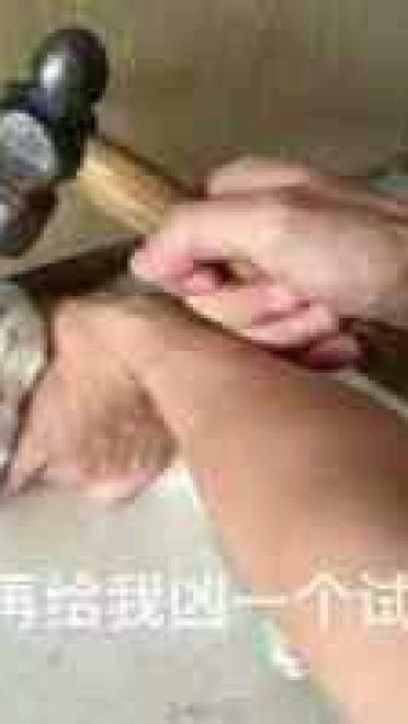 猫咪超凶 世界最凶的猫咪表情包