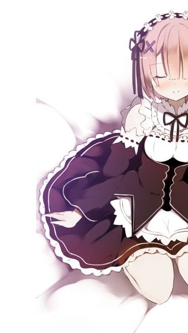 从零开始的异世界生活 拉姆蕾姆 动漫电脑壁纸下载(1)