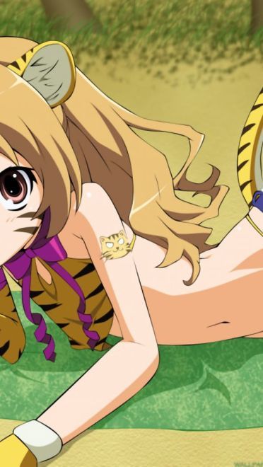 校园真情龙与虎 动漫电脑壁纸(1)