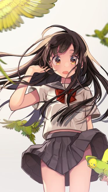 过膝袜水手服学生气息的手机壁纸下载(1)