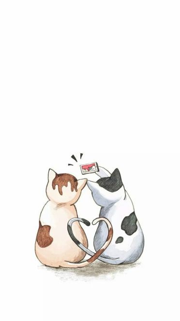 猫咪超可爱 喵星人手机壁纸下载(1)