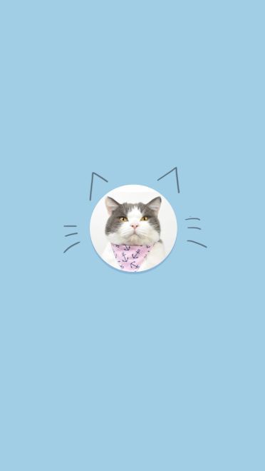 猫咪超可爱 喵星人手机壁纸下载(1)