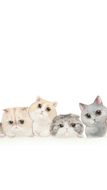 猫咪超可爱 喵星人手机壁纸下载(1)