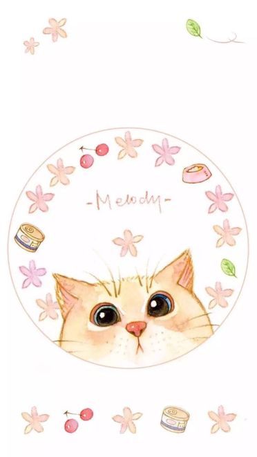 猫咪超可爱 喵星人手机壁纸下载(1)