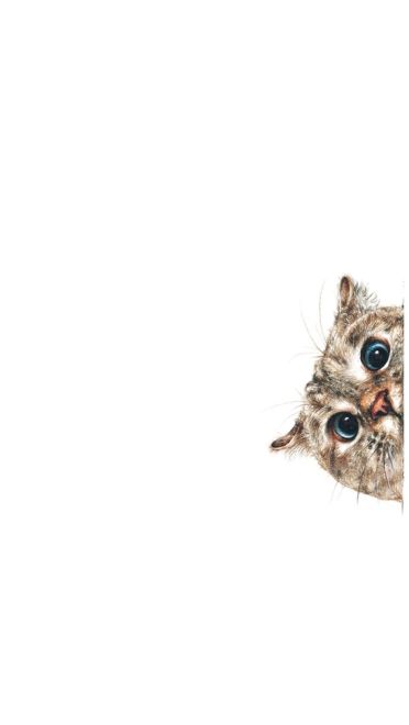 猫咪超可爱 喵星人手机壁纸下载(1)