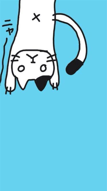 猫咪超可爱 喵星人手机壁纸下载(1)