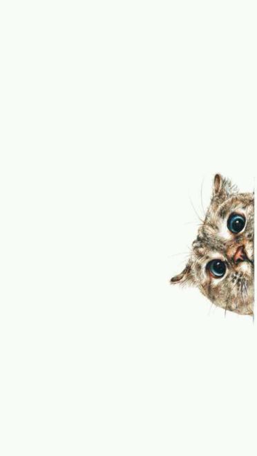 猫咪超可爱 喵星人手机壁纸下载(1)